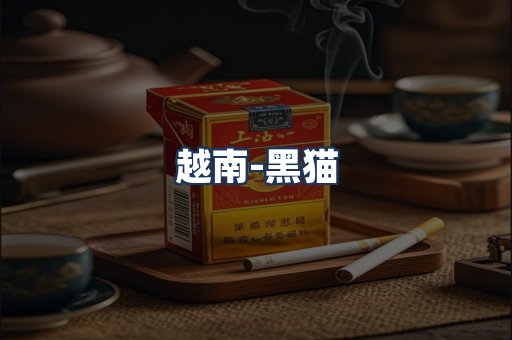 越南黑猫